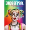 Trend Setters Birds of Prey Harley Quinn Mightyprint Wall Art MP17240564